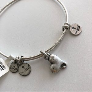 Alex and Ani bracelet